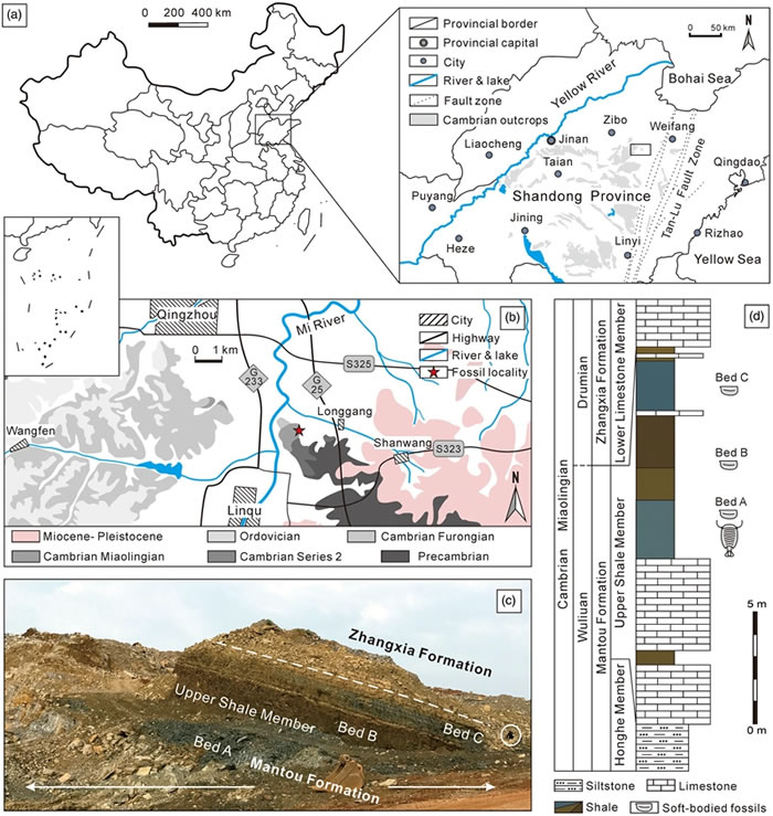 ������������������ĵ���λ����ز���Ϣ