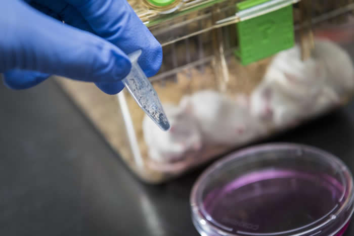 ۳дѧоԱзͿǰҩphorbiplatin עúƼƸ