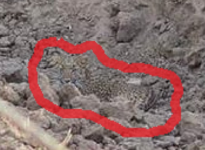 ������������Ƭ�� ����ߺ��Ҳ���