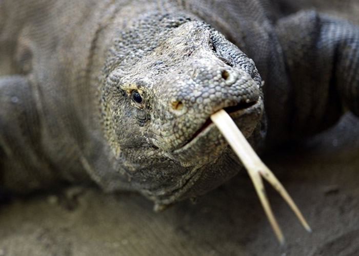 ӡᶫŬɳǼʡָĪȶ ȡرտĪൺ