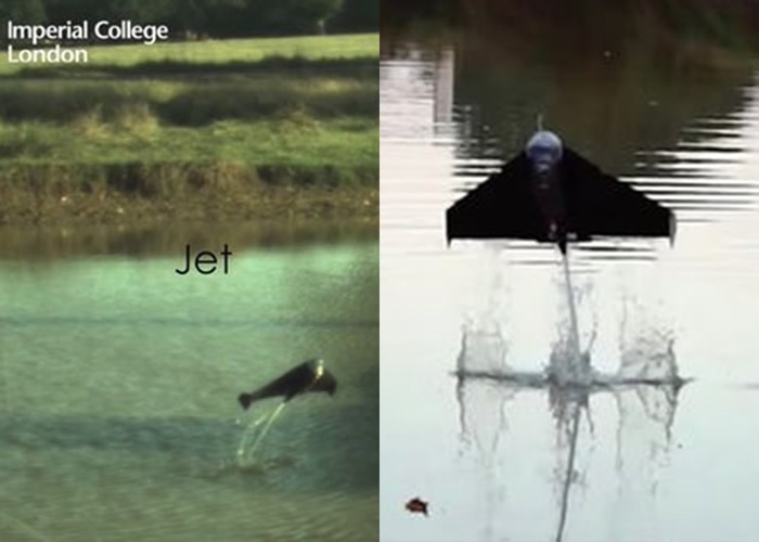 Ӣ���׶ص۹�ѧԺ�з���ģ����Ծ�Ļ����� ��ɼ�����빤��