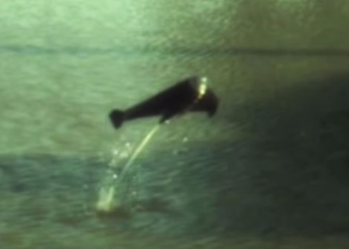 Ӣ���׶ص۹�ѧԺ�з���ģ����Ծ�Ļ����� ��ɼ�����빤��