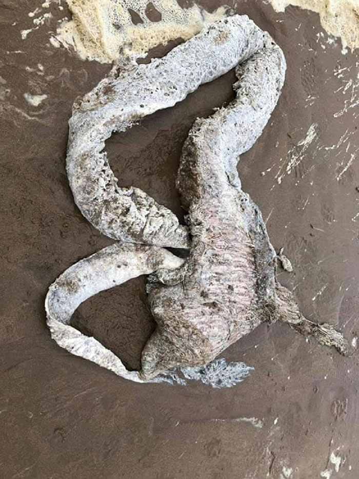 Ӣ�����Ŀ���̲�Ϸ��ֵ���������