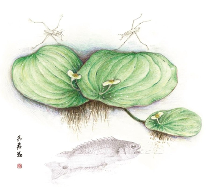 �����Ƹ�ƼҶ���������︴ԭͼ