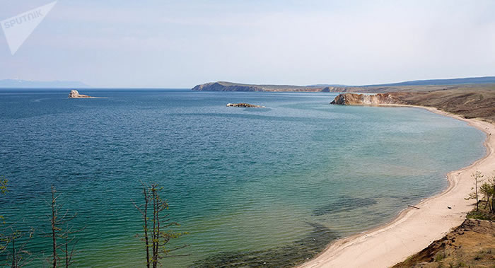 ��ɫ��ƽ��֯�о�����˹���Ӷ����������ĳɷ�