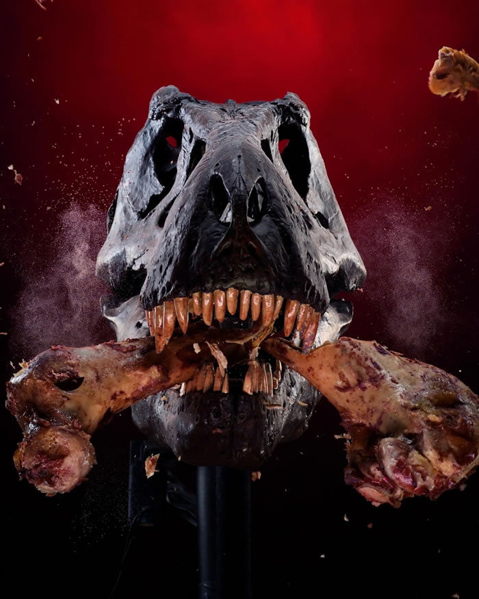 һ̨Ϊ���о�������ǿ��ҧ���������Ļ�е������ҧ��һ����ͷ�� ��Ȼ��������ͷ�ǿ��������ɹؽ����𣬵������ڿ�ѧ����Ϊ����������Ҫ�����ι̶���һ���ͷ�ǲ��ܷ�������