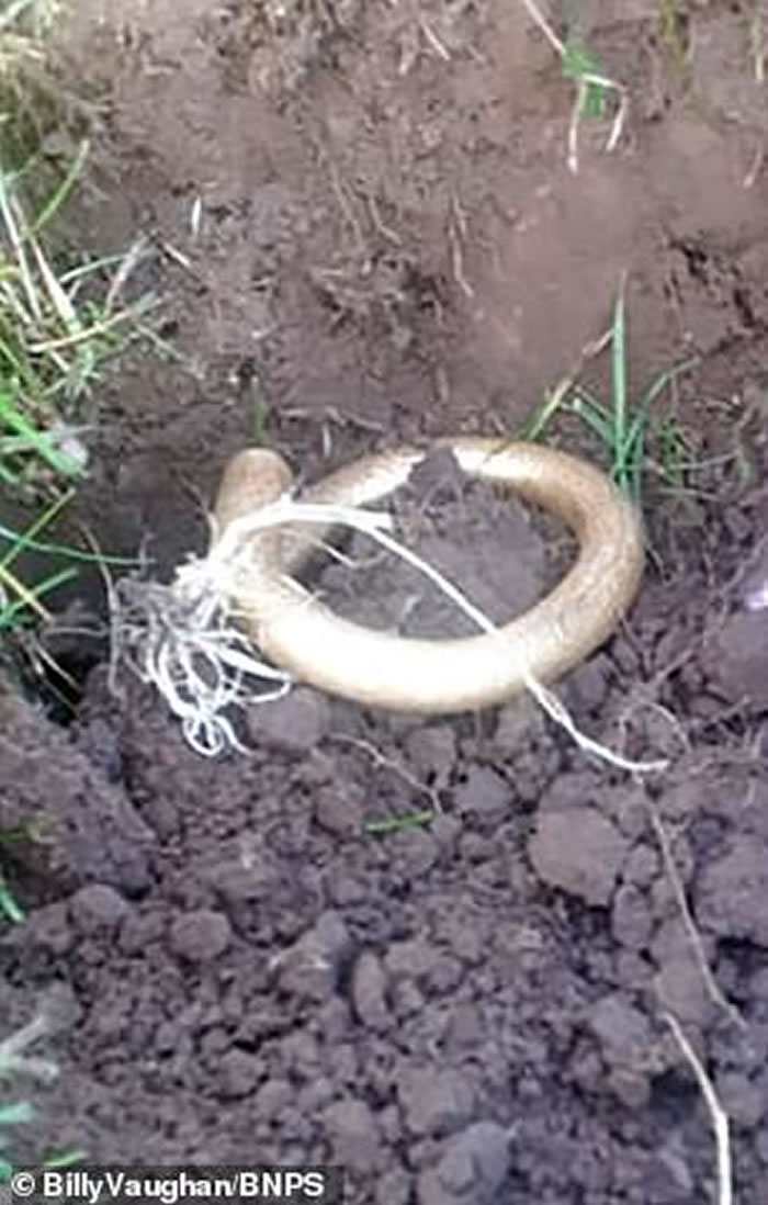 Ӣ��������190Ӣ�������Ľ���̽�����ڵ���ֵ10��Ӣ��22K������