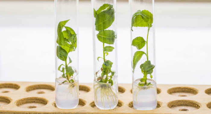 ѧ߽λԱʿռվ鵼ֲͬжԱо