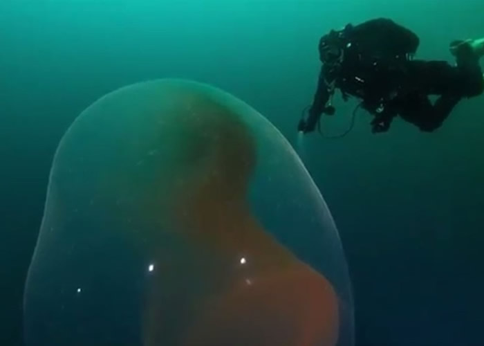 ǱˮԱ�ں�������һ�������������ѵľ޴�����