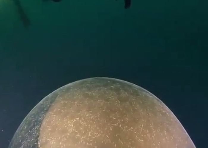 ǱˮԱ�ں�������һ�������������ѵľ޴�����