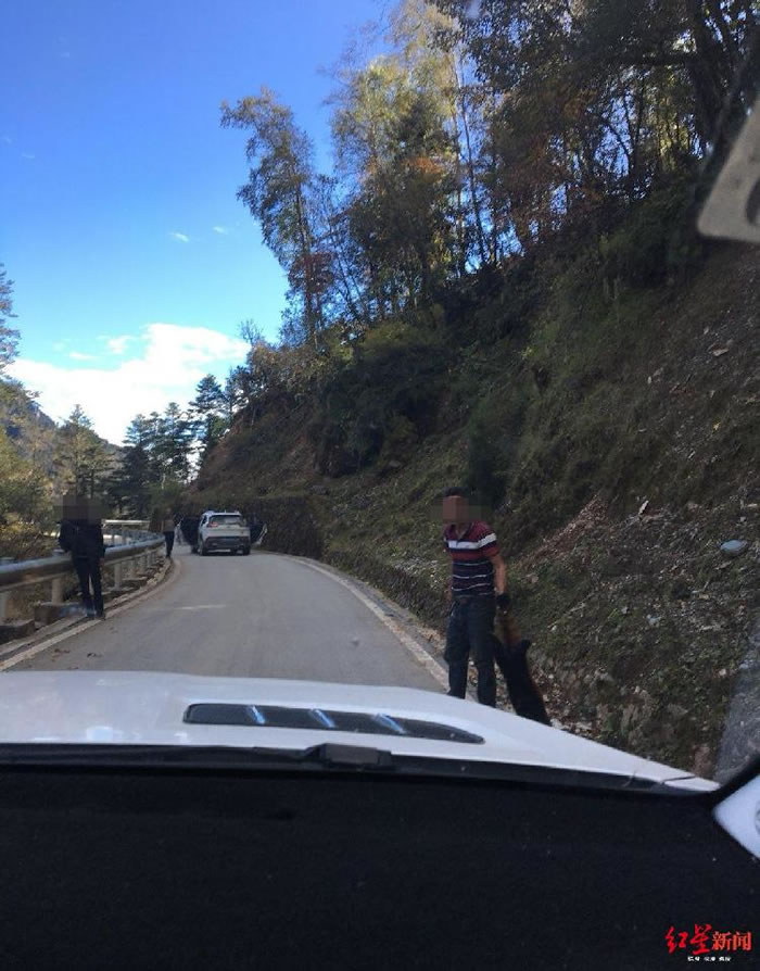 �Ĵ���ɽ��ľ���ش�������ײ�����Ҷ�����������С��è ͼ��ʬ�����ο�ײ��