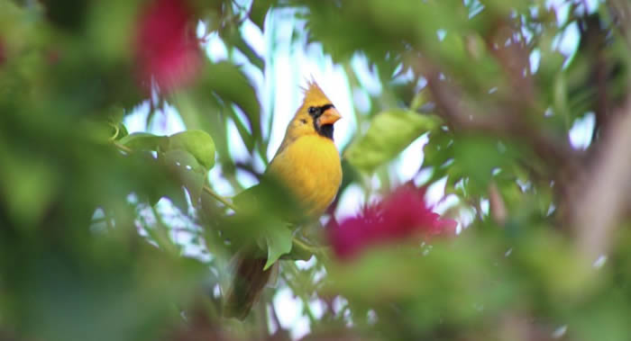 �������������ʥ¶���۷��ֺ�������ɫ������ȸ