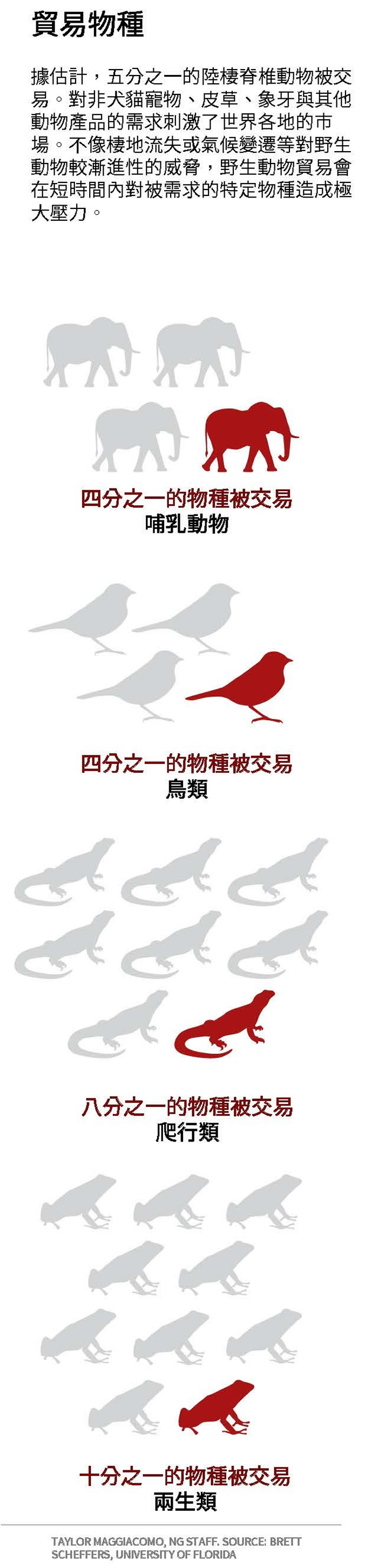 全球野生动物市场中被交易的动物有多少种?未来哪些动物可能沦为受害者?