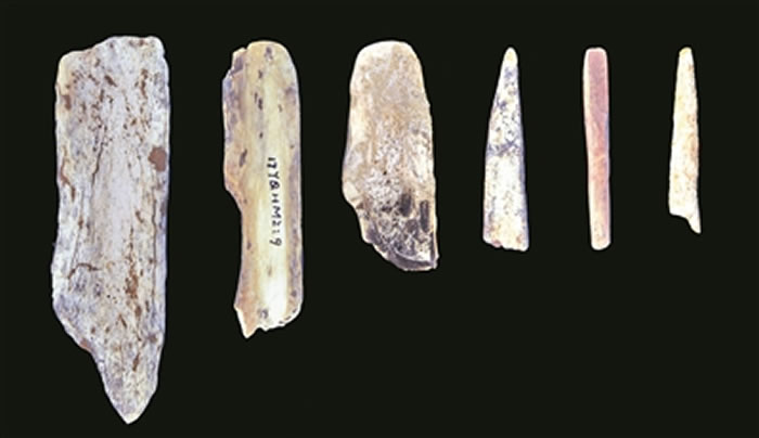 考古学者刘锁强:他改写广东古人类史的背后