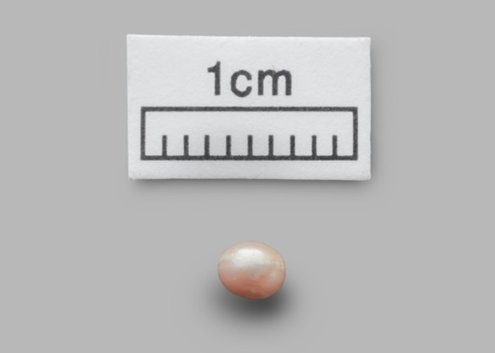 ߵϵ ֤8000ǰʯʱѿʼлｻ