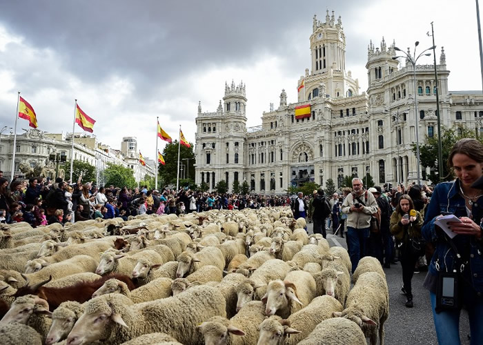 ɽ򺣡һһ 2000ֻ򴩹æֵ