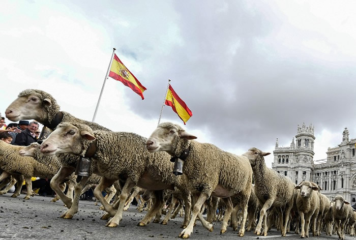 ɽ򺣡һһ 2000ֻ򴩹æֵ