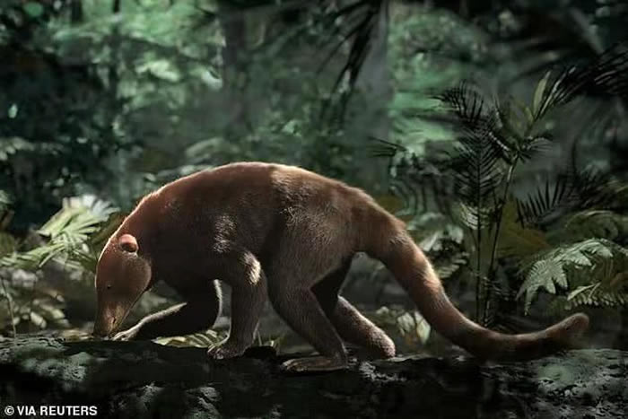 10万之后,棕榈树开始长成了森林,哺乳动物的体型又长成了浣熊大小,差不多恢复到了撞击前的水平。