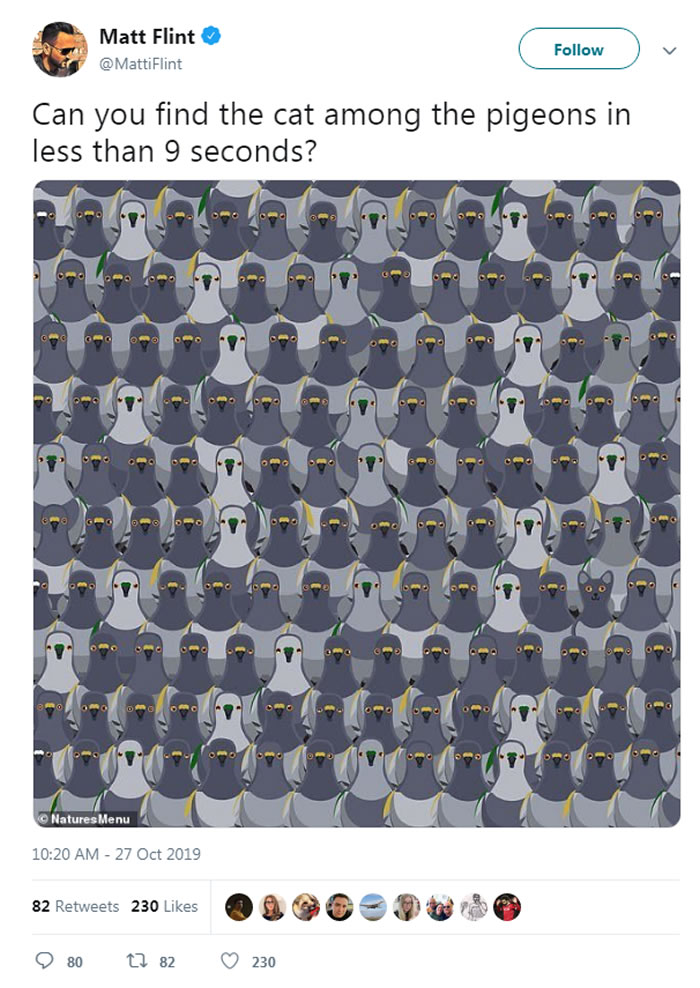 èգܿҵͼƬ139ֻһֻè