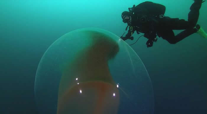 Ų�������о�����1�׸߾޵��� ԭ�����Ϸ��������������