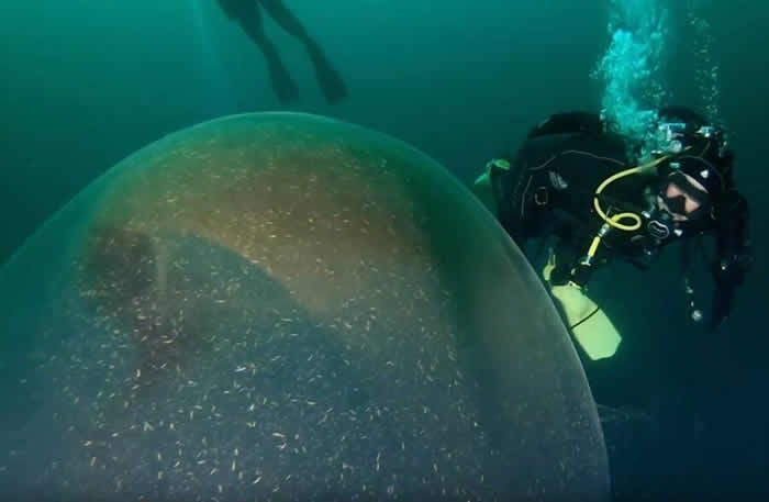 Ų�������о�����1�׸߾޵��� ԭ�����Ϸ��������������