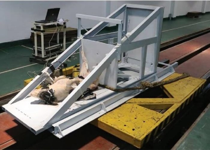 善待动物协会(PETA)报告指中国学者用生猪测试汽车防撞力 批做法残忍