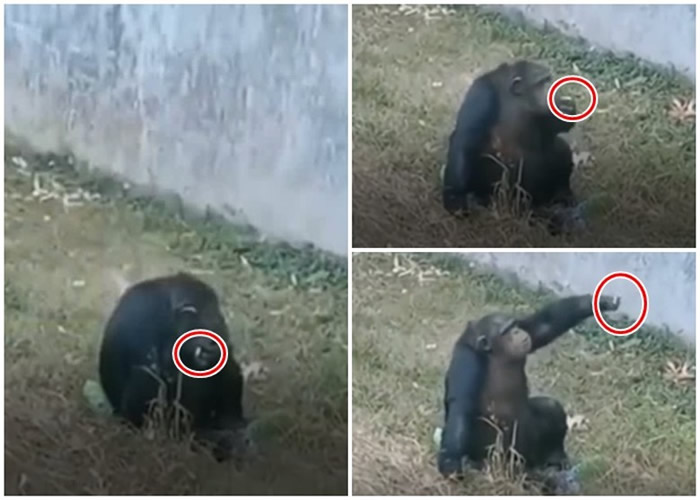 ���Ϸ��ж���԰�к����ɳ��� ԰�����ȸĿ�����