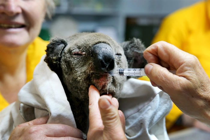 ������������˹��С��β�������ӳ���