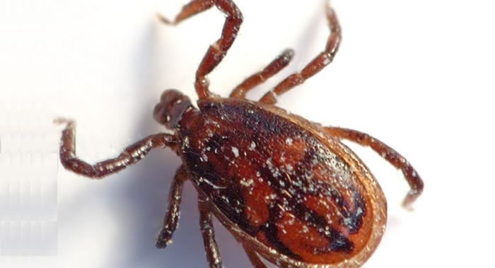 Ӣ��ɭ�����״η�����ý���ײ���