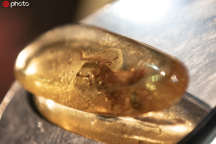 �����������ˮ�����滯ʯ����2019�ڶ����й����ʽ��ڲ�����