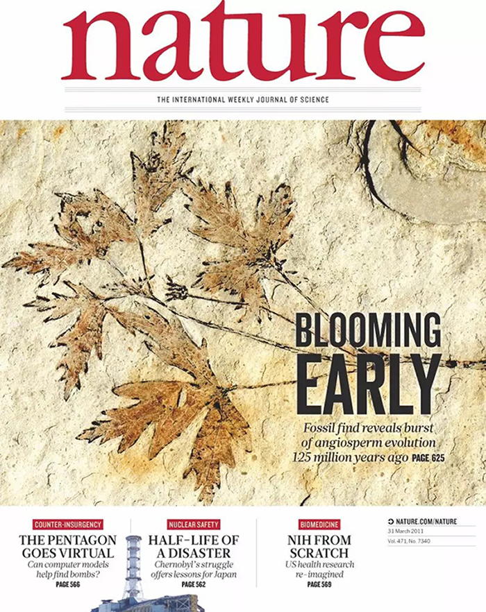 Ge Sun et al. A eudicot from the Early Cretaceous of China. Nature 471, 625–628