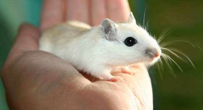 չ־רͨ۲̥뿨ۺйصĻ