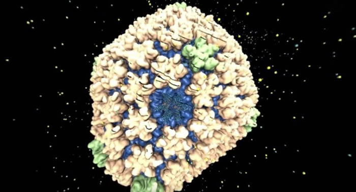 美国学者20年来首次发现艾滋病毒(HIV)新型菌株