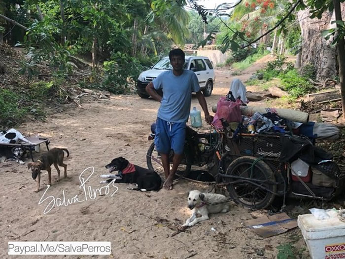 ī��������Edgardo Perros����һȺ����6��ʱ������1.4����