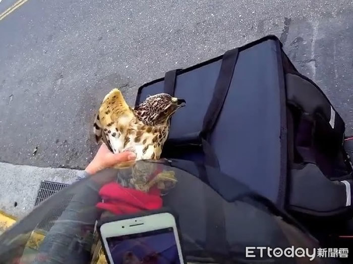 ̨��UberEats����Ա���ִ���ײ�������� ��ѯ���֪�Ǳ��������ݡ���ͷ��ӥ��