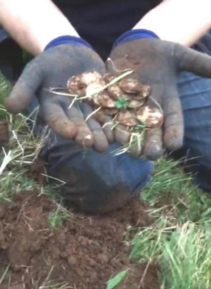 ����������������Ұ������Ѱ����ʧ�Ľ���ָʱ���ⷢ�ּ�ֵ10��Ӣ���Ž��