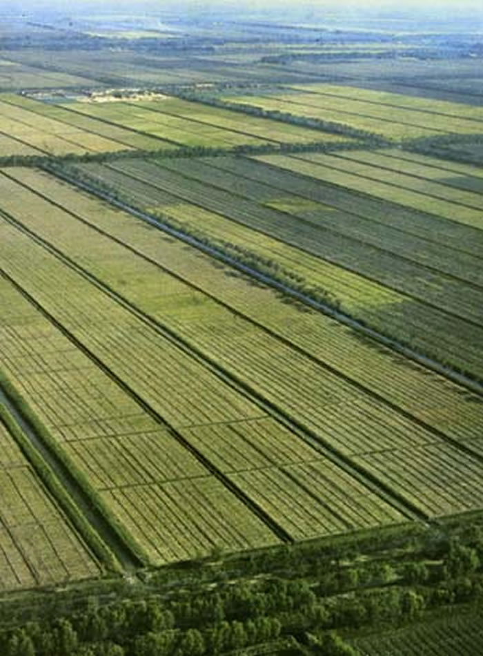 《中国科学:地球科学》:18~19世纪华北平原的气候变化与粮价异常