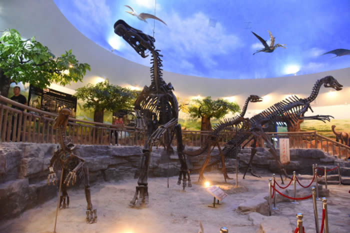 嘉荫恐龙国家地质公园里的恐龙化石 叶俊东/摄