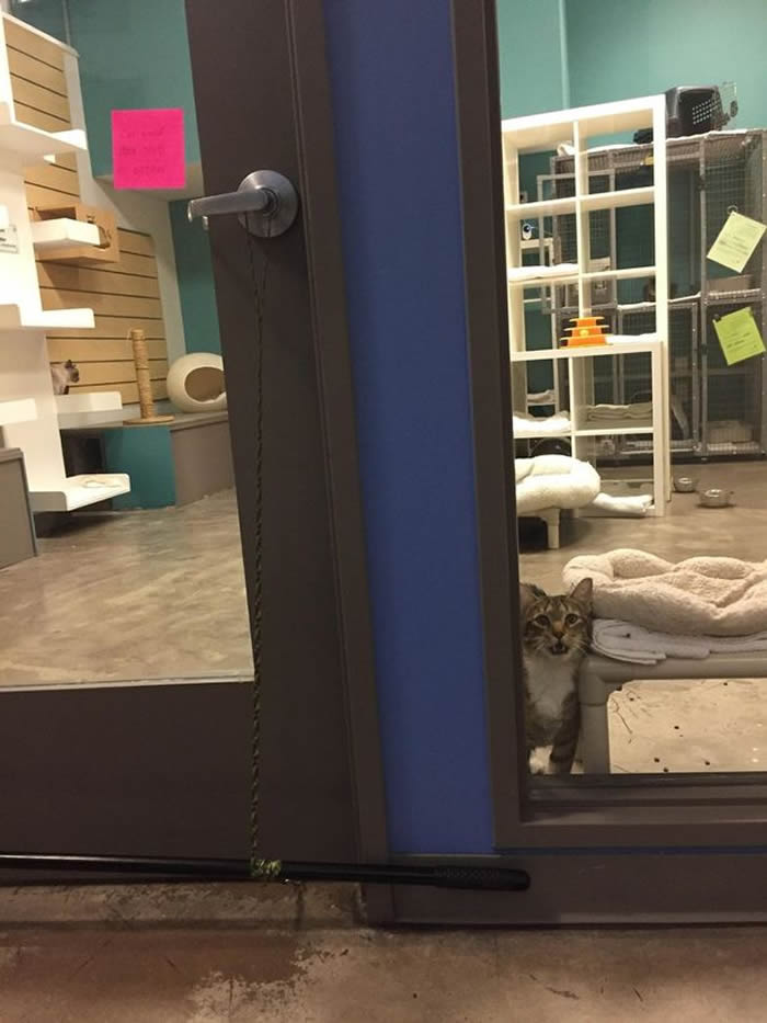 ¿˹ݡ֮ѡè䡰Quilty͵͵ñĳ