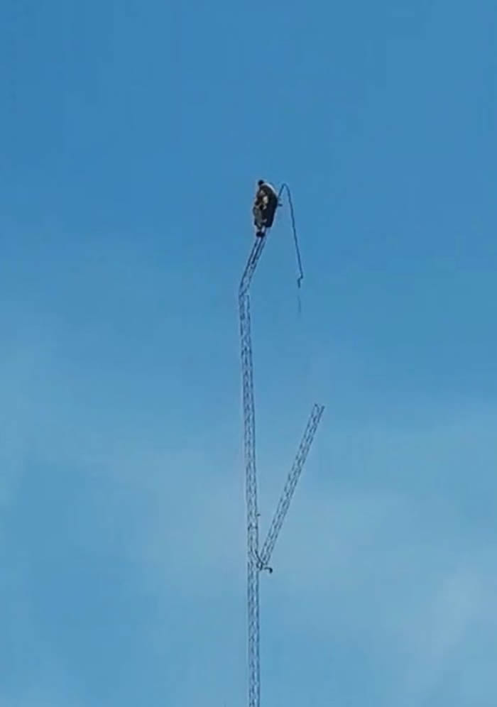 𺳻ڷŭͻȻϳɶ 28깤˲Ҵ40߸׹