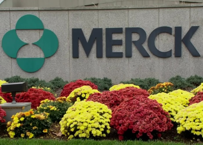 ����Ĭ��ҩ�����Ƶİ����������׿����硰Ervebo��ͨ������������֯Ԥ��