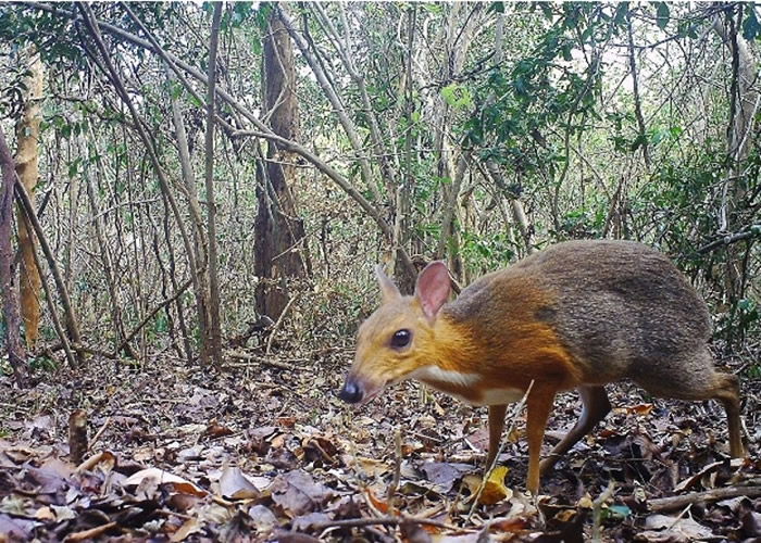 ����ʧ30���������¹��Խ����¹/��������¹����Խ�ϱ����·���