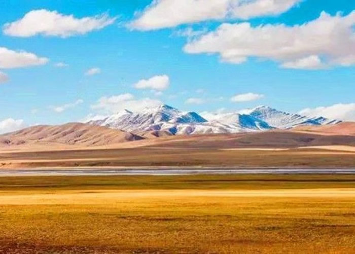 青海三江源国家公园森林警方破获非法穿越世界第三大无人区可可西里案件