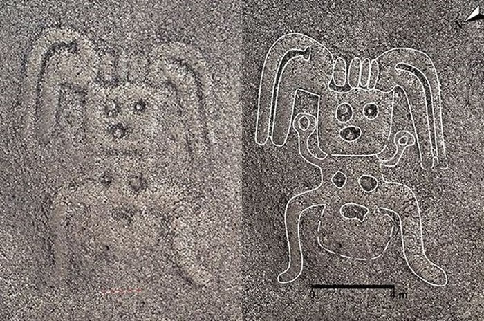 地画上清楚可见五官、四肢及胸部,似乎是一个人类女性的形象 。(图/翻摄自山形大学官网)