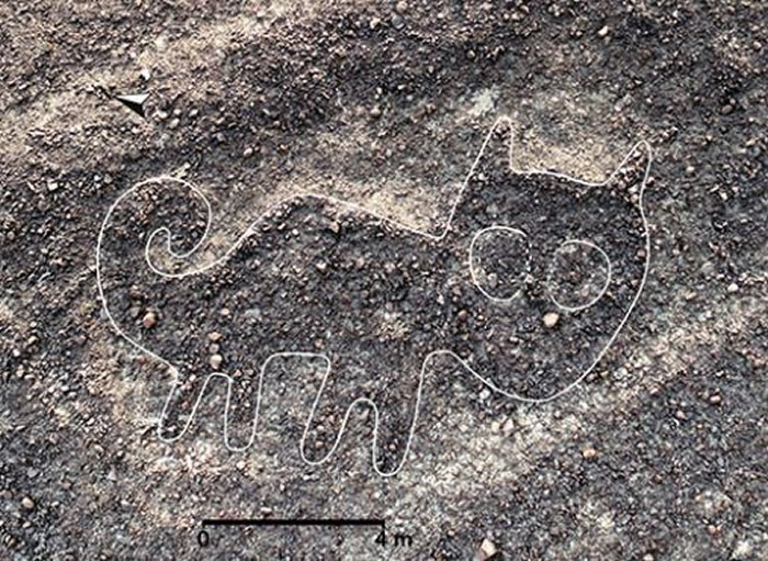 猫咪模样的地画。(图/翻摄自山形大学官网)