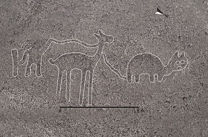 另一幅地画绘制了人类饲养、驯服其他动物的画面 。(图/翻摄自山形大学官网)