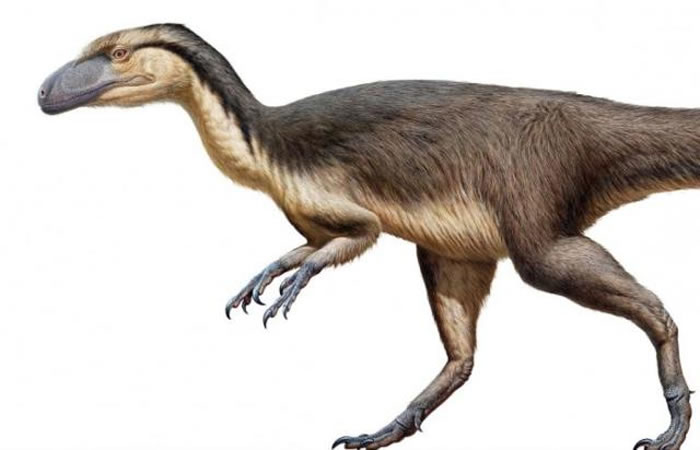 �ϼ�����������ë���������������µĺ�������