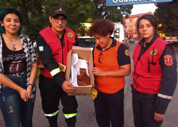 ����͢ͼ����ʡŮ����ɽ�����ء�����è�� �����º�ŷ���������ʨ