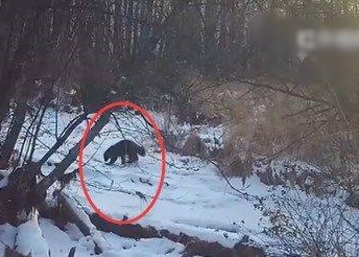 ���������˰����״��ĵ�����һ��������������