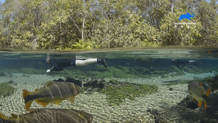 雅定生态公园没入水中,堪称「亚特兰提斯」再现!